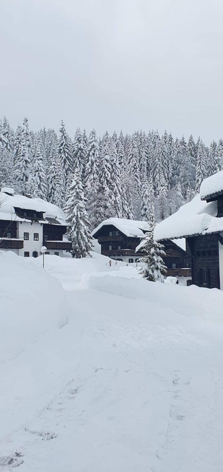 Apartment Martin Sonnenalpe Nassfeld Kültér fotó
